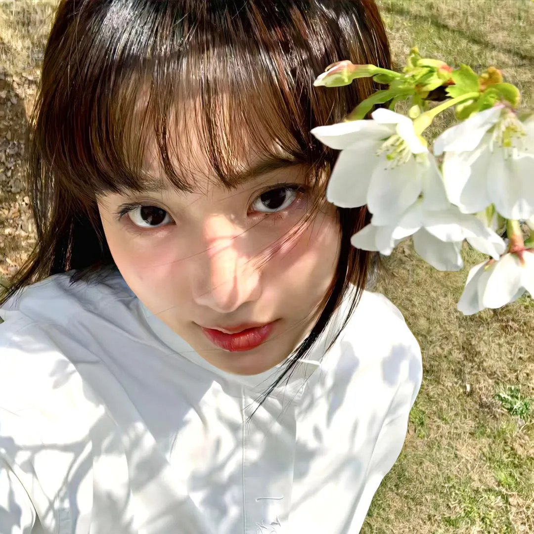 美女与纯情男封面
